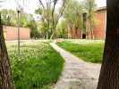 Faculty in spring